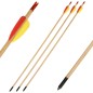Preview: Wooden arrows, 3 pcs. plastic nock, metal tip, 28 inch/71 cm